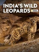 Watch India\'s Wild Leopards (Short 2020) Megashare9