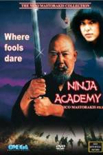 Watch Ninja Academy Megashare9