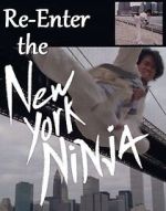 Watch Re-Enter the New York Ninja Megashare9