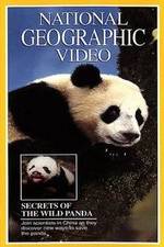 Watch Secrets of the Wild Panda Megashare9