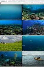 Watch National Geographic: Pacific Ocean Paradise Megashare9