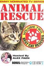 Watch Animal Rescue, Volume 2: Best Cat Rescues Megashare9