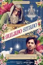 Watch Gulabo Sitabo Megashare9