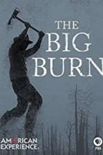 Watch American Experience: The Big Burn Megashare9