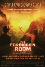 Watch The Forbidden Room Megashare9