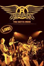 Watch Aerosmith You Gotta Move Megashare9