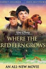 Watch Where the Red Fern Grows Megashare9