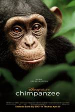 Watch Chimpanzee Megashare9