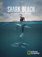 Watch Shark Beach with Chris Hemsworth (TV Special 2021) Megashare9
