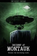 Watch Incident at Montauk Megashare9