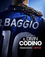 Watch Baggio: The Divine Ponytail Megashare9
