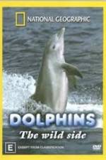 Watch Dolphins: The Wild Side Megashare9