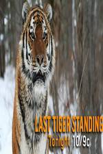 Watch Discovery Channel-Last Tiger Standing Megashare9
