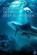 Watch Dolphins in the Deep Blue Ocean Megashare9