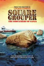 Watch Square Grouper Megashare9