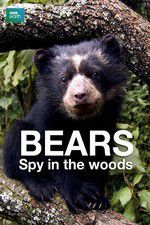 Watch Bears: Spy in the Woods Megashare9