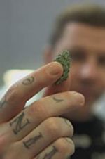 Watch Professor Green: Is It Time to Legalise Weed? Megashare9