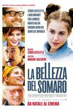 Watch La bellezza del somaro Megashare9