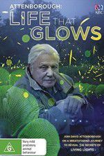 Watch Attenborough\'s Life That Glows Megashare9