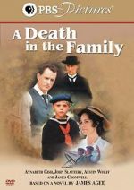 Watch A Death in the Family Megashare9