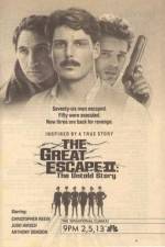 Watch The Great Escape II: The Untold Story Megashare9