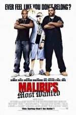 Watch Malibu's Most Wanted Megashare9