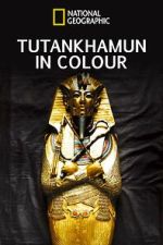 Watch King Tut in Color Megashare9