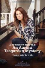 Watch A Bundle of Trouble: An Aurora Teagarden Mystery Megashare9