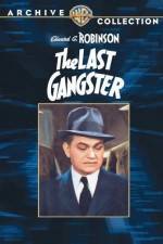 Watch The Last Gangster Megashare9