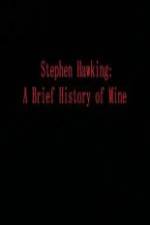 Watch Stephen Hawking A Brief History of Mine Megashare9