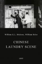 Watch Chinese Laundry Scene Megashare9