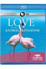 Watch Nature: Love in the Animal Kingdom Megashare9