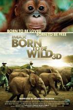 Watch Born to Be Wild Megashare9