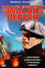 Watch The Great Waldo Pepper Megashare9