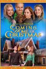 Watch Coming Home for Christmas Megashare9