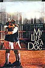 Watch My Life As A Dog Megashare9