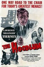 Watch The Hoodlum Megashare9