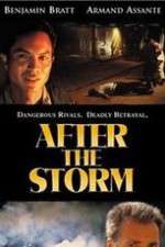 Watch After the Storm Megashare9