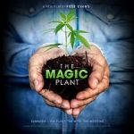 Watch The Magic Plant Megashare9