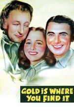 Watch Gold Is Where You Find It Megashare9