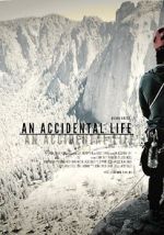 Watch An Accidental Life Megashare9