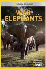 Watch War Elephants Megashare9