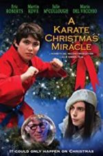 Watch A Karate Christmas Miracle Megashare9