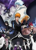 Watch Bleach the Movie 2: The Diamond Dust Rebellion Megashare9