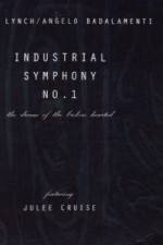 Watch Industrial Symphony No 1 The Dream of the Brokenhearted Megashare9