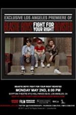 Watch Beastie Boys: Fight for Your Right Revisited Megashare9