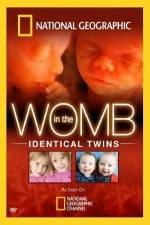 Watch National Geographic: In the Womb - Identical Twins Megashare9