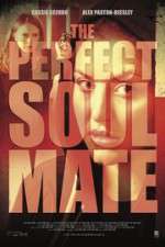 Watch The Perfect Soulmate Megashare9