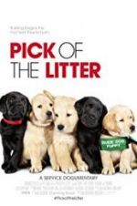 Watch Pick of the Litter Megashare9