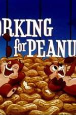 Watch Working For Peanuts Megashare9